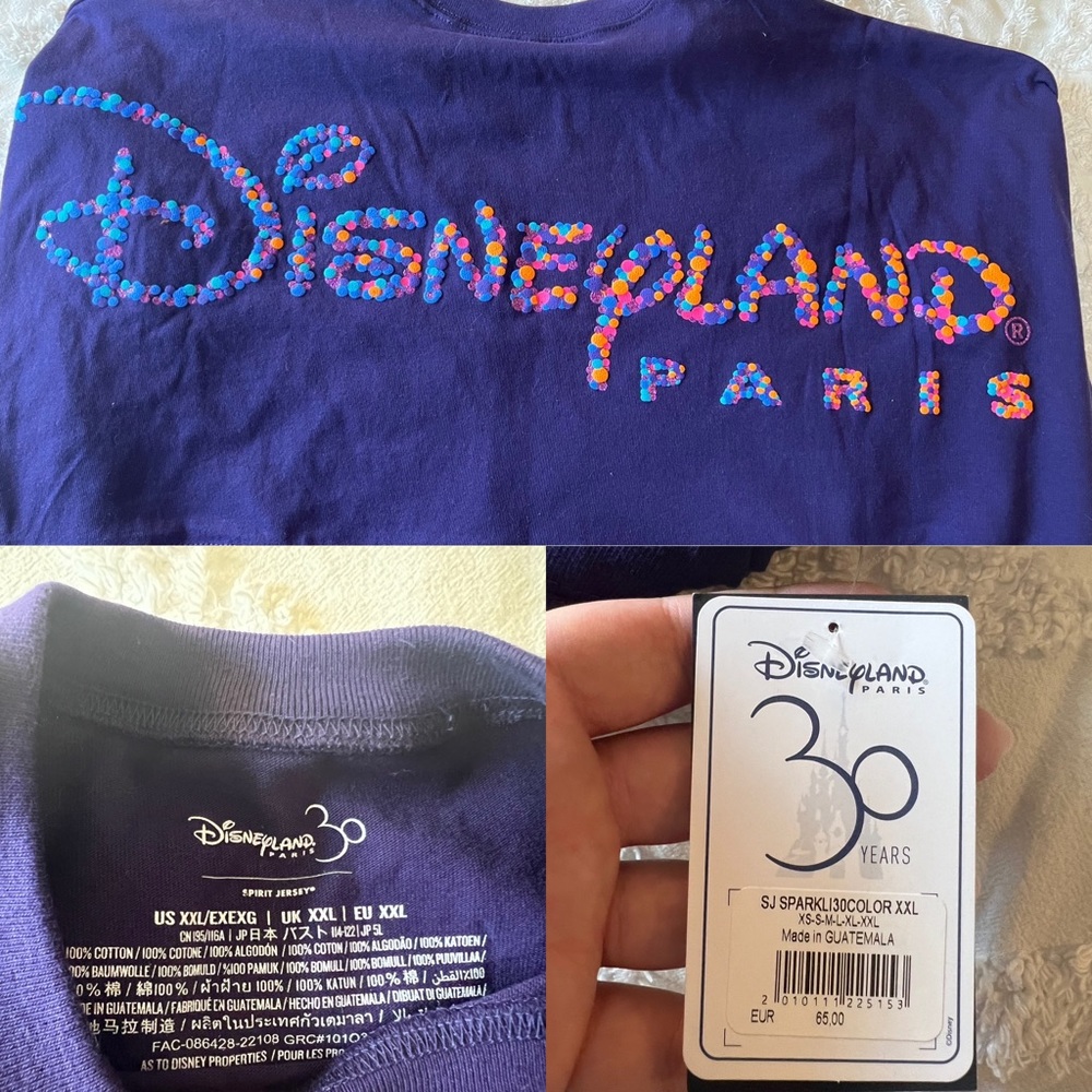 Disneyland Paris Spirit Jersey